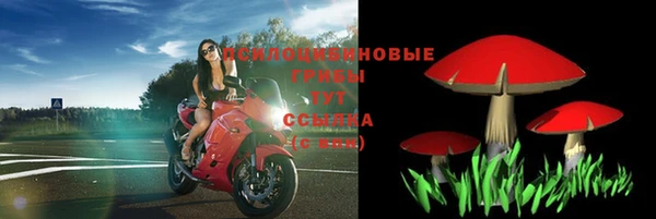 ALPHA PVP Иннополис