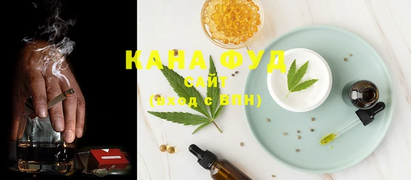 МДПВ Карпинск
