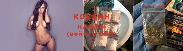 мдпв Каменногорск
