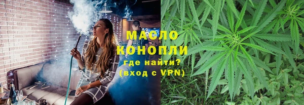 мдпв Каменногорск