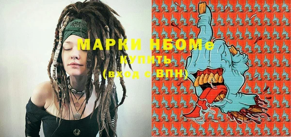 мдпв Каменногорск